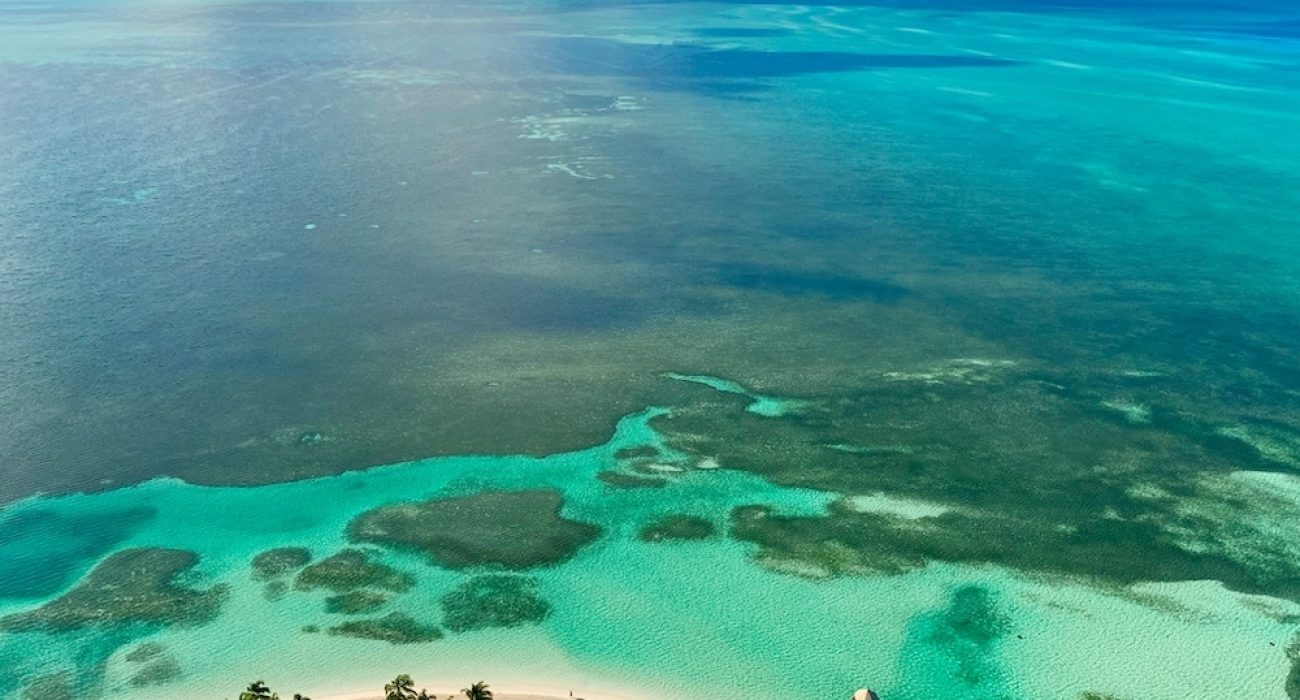 fernando-jorge-eiBxnesl3_I-unsplash