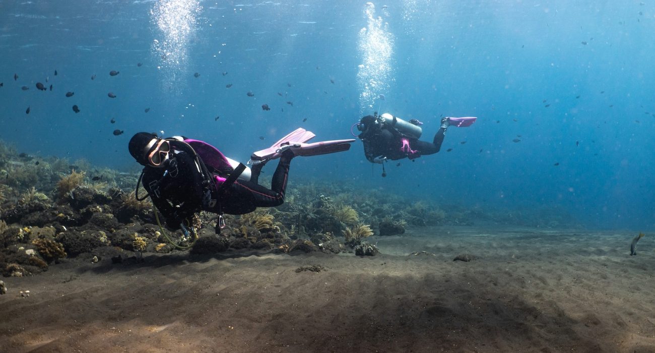 nott-peera-PmRAIglrTrI-unsplash